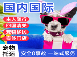 莎车叶尔羌航空快运国际宠物托运 【国